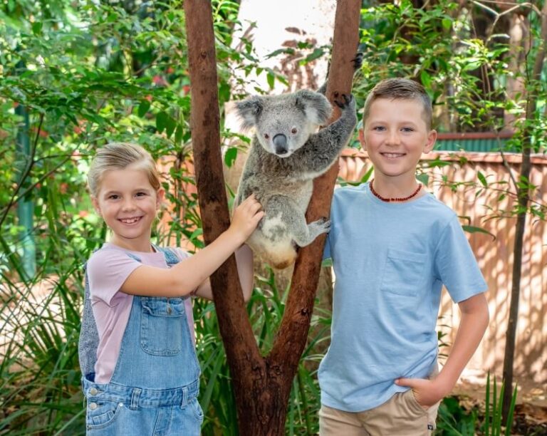 Two smiling children stand next to a koala perched on a tree branch in a lush, outdoor setting.