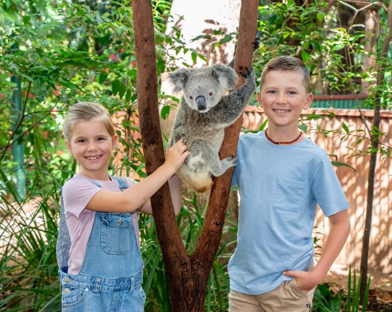 Two smiling children stand next to a koala perched on a tree branch in a lush, outdoor setting.