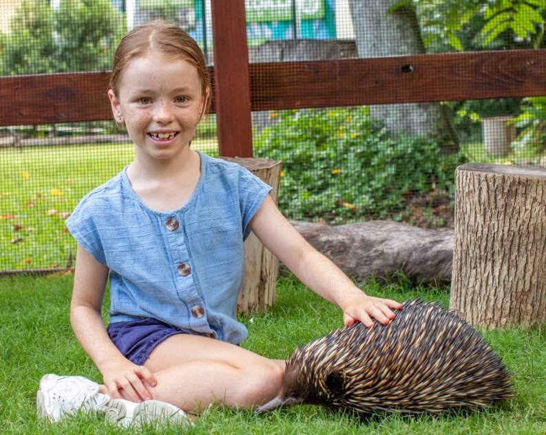 A young girl sits on grass, smiling at the camera with one hand resting on an echidna beside her in an outdoor enclosure.