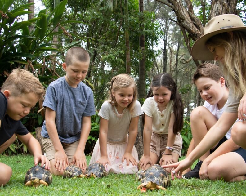 Five children and an adult kneel on grass, observing and interacting with three tortoises eating food, surrounded by lush greenery.