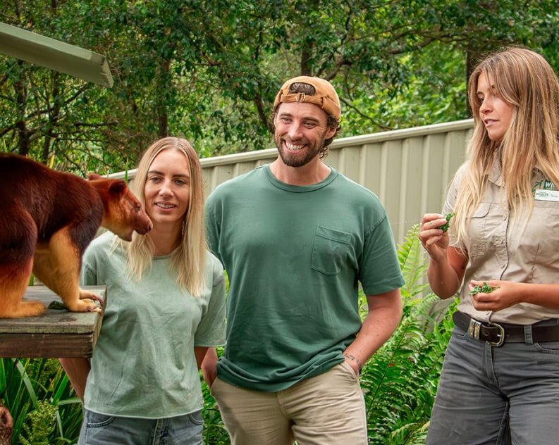 Three people stand outdoors near a tree kangaroo on a platform, with greenery and a fence in the background.