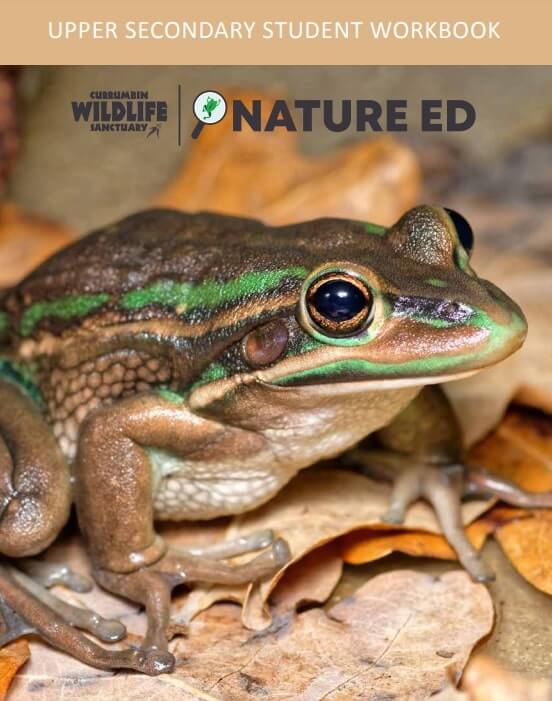 A close-up of a brown and green-striped frog sitting on dry leaves, featured on the cover of an upper secondary student workbook titled Nature Ed.
