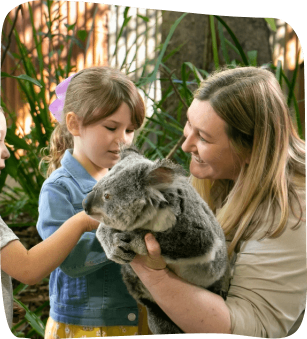 A woman holds a koala while two children gently touch the animal in an outdoor setting with plants in the background.