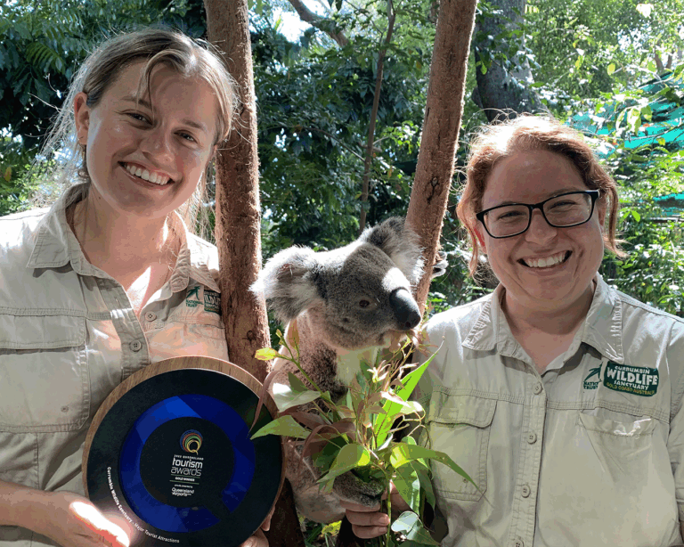 Currumbin Wildlife Sanctuary named Queensland’s Best Major Tourist Attraction for 2022