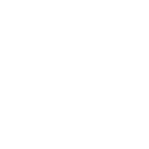 CCTV Camera Icon