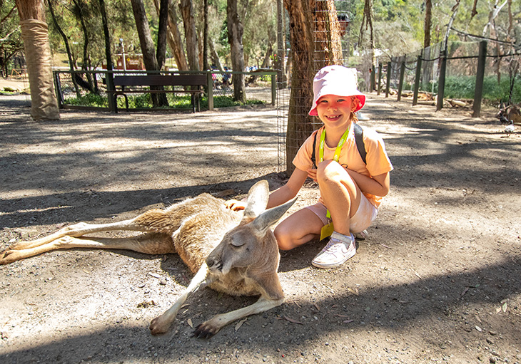 Girl crouching next to chilled kangaroo at wildlife sanctuary patting its back