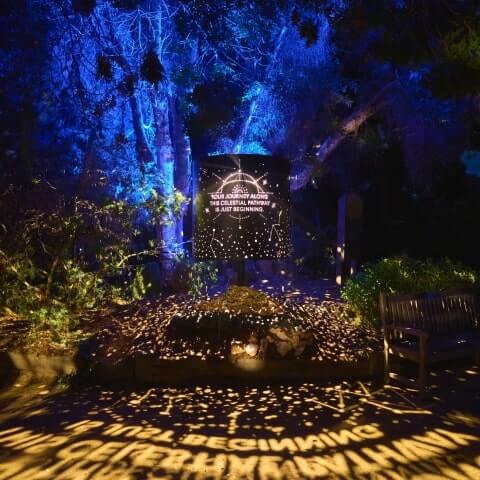 An outdoor nighttime art installation projects star patterns and the words “YOUR JOURNEY ACROSS THE CELESTIAL HIGHWAY IS JUST BEGINNING” onto the ground, surrounded by trees lit in blue.