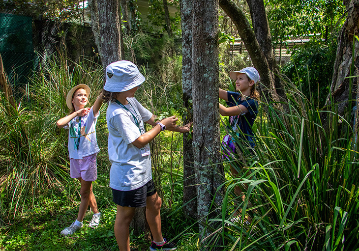 Kids exploring amongst trees and long grass, observing tree bark