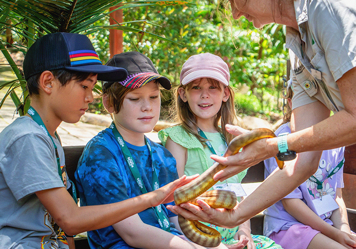 Kids looking and gently touching brown snake held by wildlife keeper