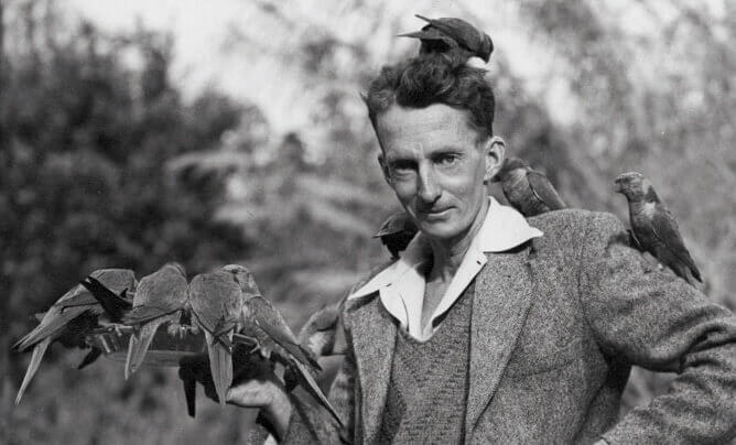 Man with multiple birds perched on him and on his shoulder, holding a tray with more birds.