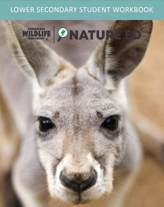 Close-up photo of a kangaroos face on the cover of a Lower Secondary Student Workbook for Currumbin Wildlife Sanctuarys Nature Ed program.