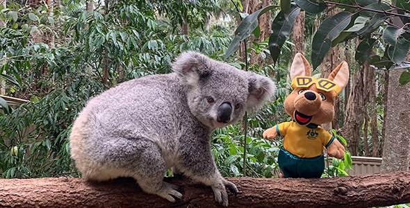 The Matildas Have Scored a Cuddly 24th Teammate