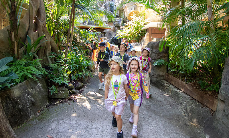 Group of children in colorful clothing walking a path through a lush, tropical garden