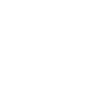 White icon of a voucher