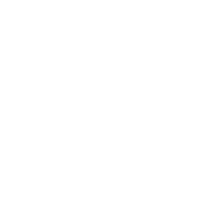 White icon of koala face