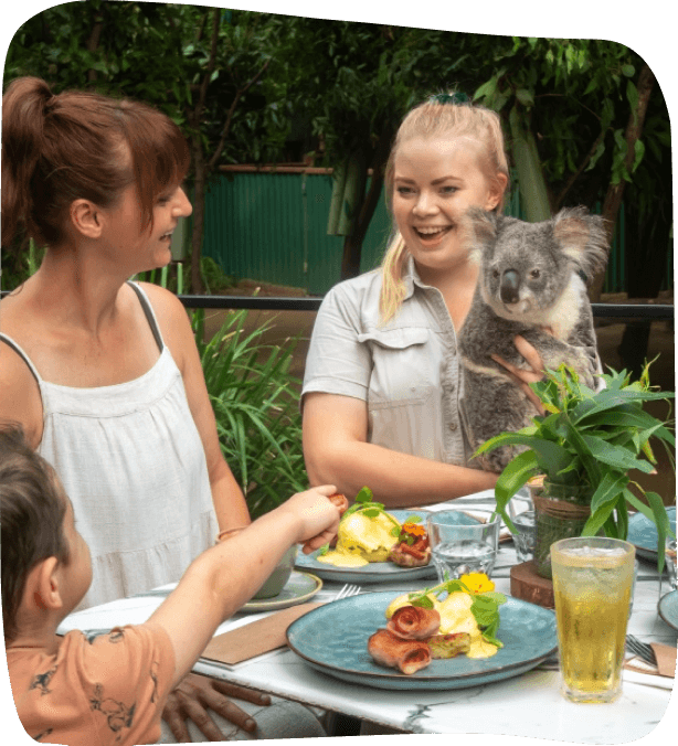 Three people sit at an outdoor table with breakfast dishes; one woman holds a koala. The group appears to be engaged in conversation.