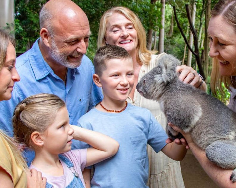 family meet and touch a koala