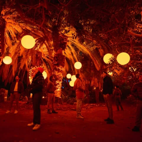 People stand among illuminated trees and large glowing orbs suspended from branches at night, creating a warm, vibrant outdoor scene.