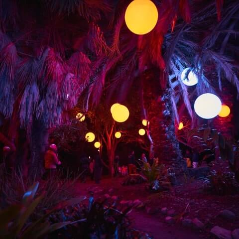 A nighttime scene in a palm tree grove with people walking beneath glowing orange, yellow, and white spherical lights hanging among the trees.