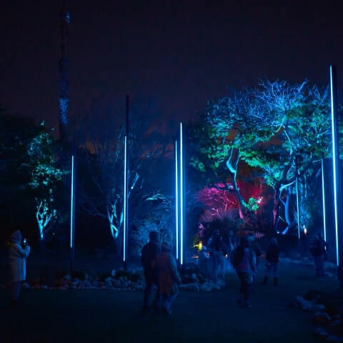 People walk among trees and tall vertical light installations glowing blue at night in an outdoor setting.