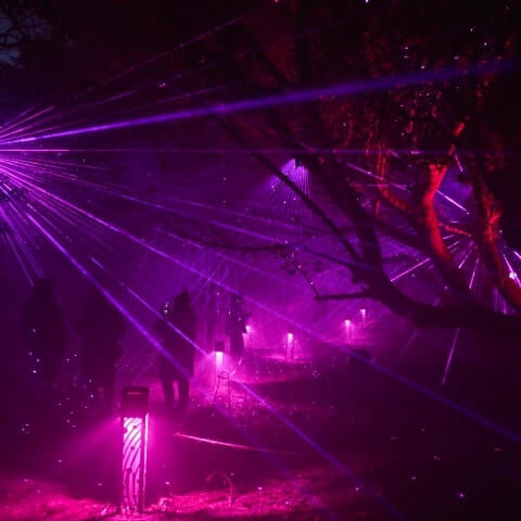 People walk through a nighttime outdoor area illuminated by purple laser lights and spotlights, with trees and light beams creating a surreal atmosphere.