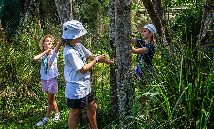 kids exploring nature at currumbin wildlife sanctuary