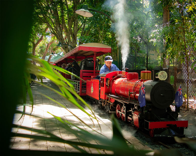 miniature train riding through the park