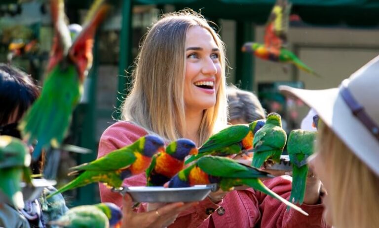 A woman holds dishes while colorful parrots perch and eat from them outdoors, with other people and more parrots nearby.