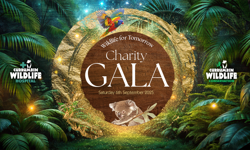 Graphic with green fern and wildlife illustrations overlaid with text