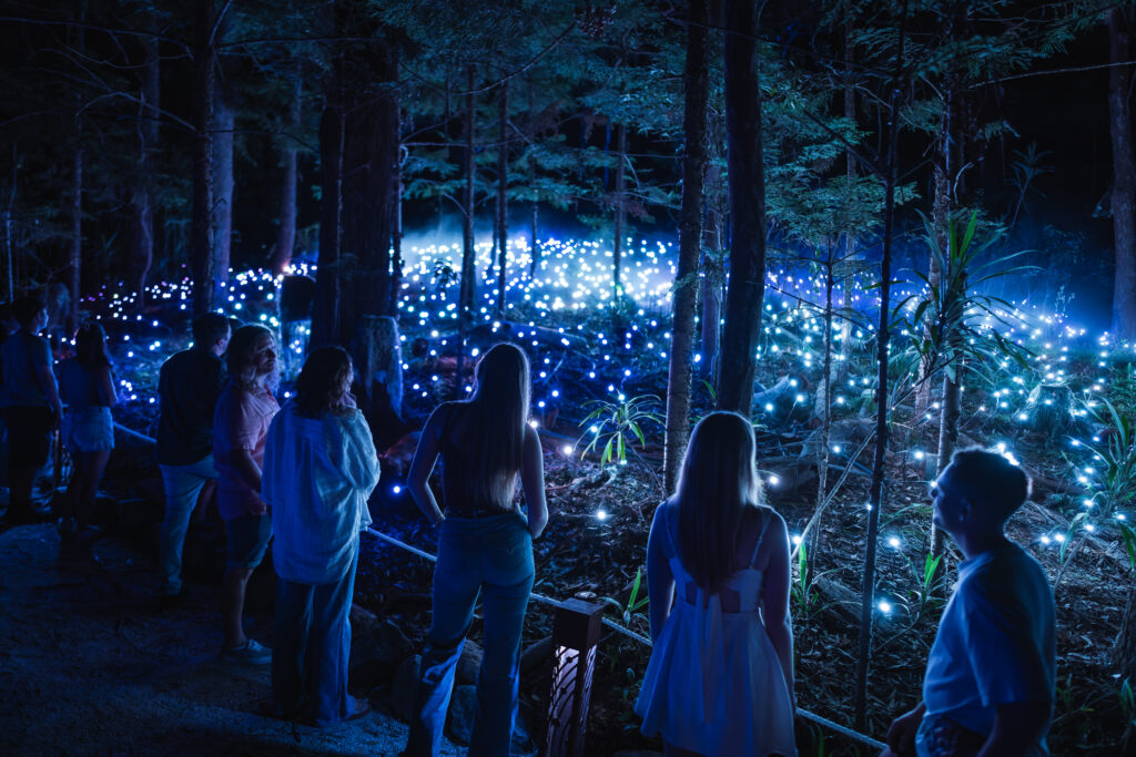A group of people, including children, watching a field display of blue and white twinkling lights