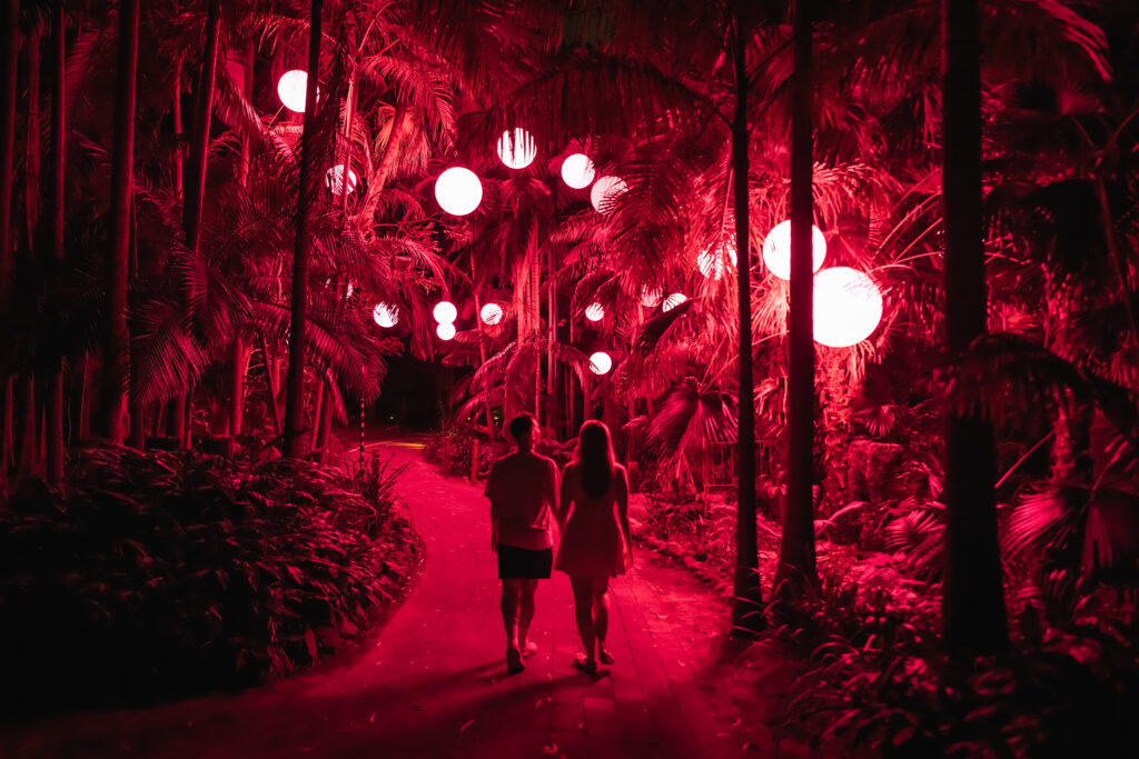 Two people walking hand in hand on a path through a forest with large trees, illuminated by red lights and white balls of lights