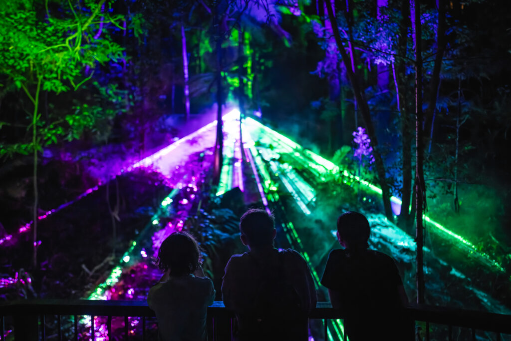 Three people stand in silhouette facing a field of glowing purple and green lights at night, with mist and illuminated patterns spread across the landscape.