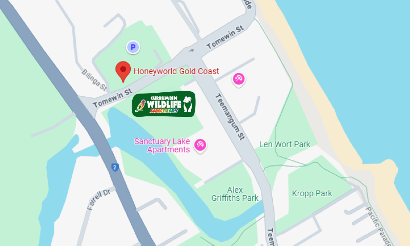 Map showing the location of Currumbin Wildlife Sanctuary, Honeyworld Gold Coast, Sanctuary Lake Apartments, and nearby parks in a coastal area.