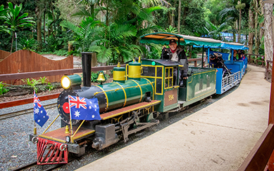 Colourful mini train waiting at a train stop, surrounded by large ferns and trees, train driver waving