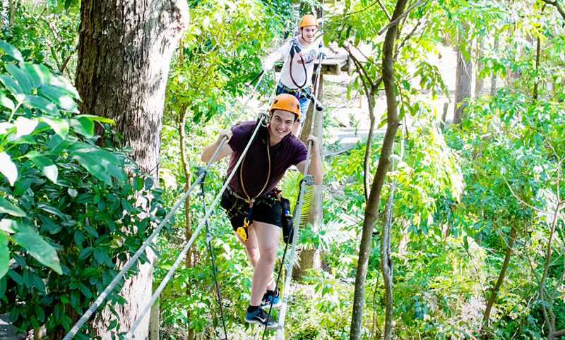 Two people wearing helmets and harnesses walk on a rope bridge in a lush, green forest canopy adventure park.