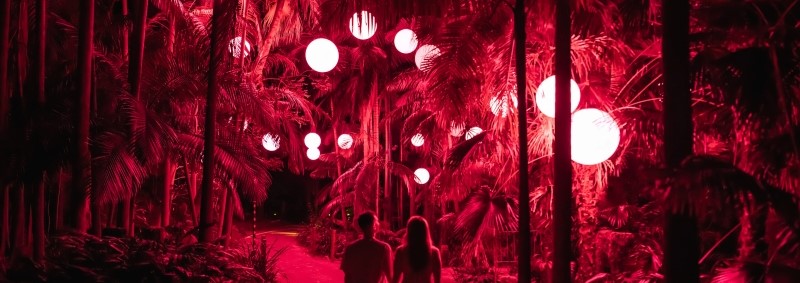 Wide shot of two people walking hand in hand on a pathway through tropical bushland with white and red illuminated orbs hanging high up from trees.