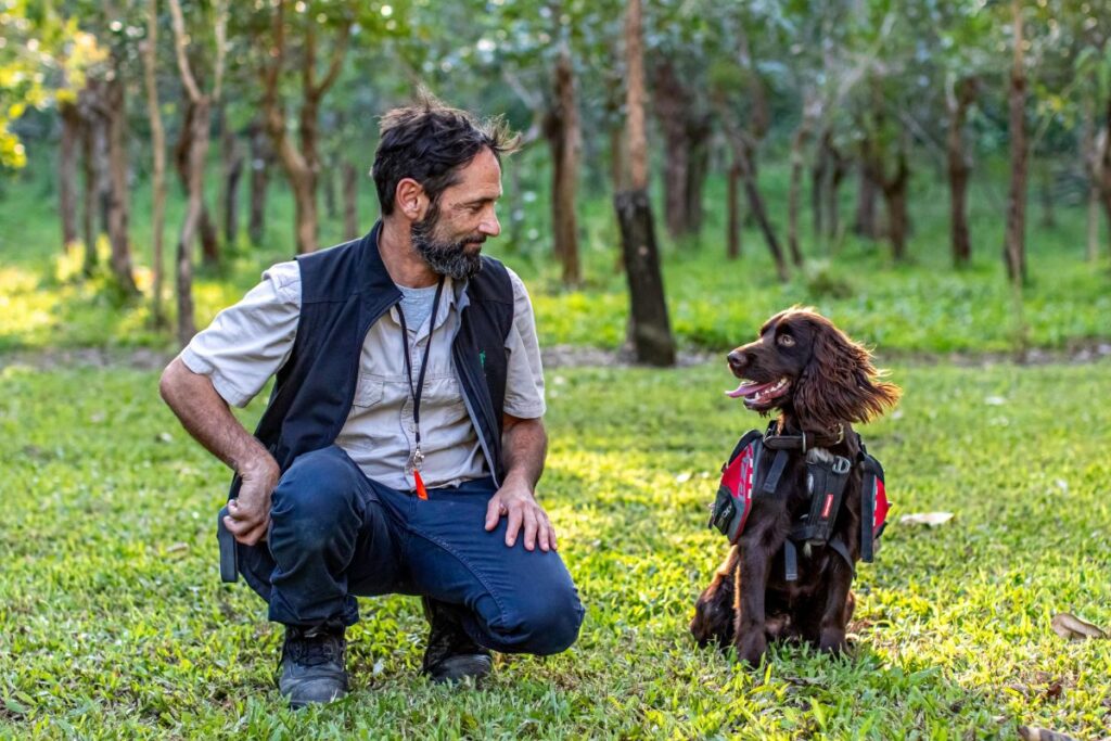 Man and brown happy dog, crouching and sitting on lush green grass. Man is smiling and looking at this dog