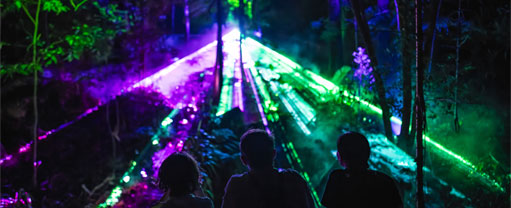 Discover Astra Lumina at Currumbin Wildlife Sanctuary