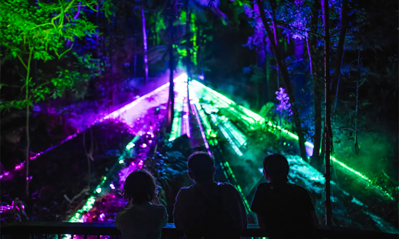 Guests-stare-at-Nebular-Waves-as-they-enjoy-Astra-Lumina