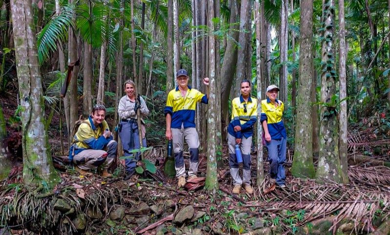 Group of young people in high vis clothing standing in tropical rainforest surrounded by large palm trees