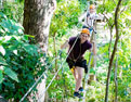tree-top-challenge