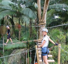 tree top challenge at currumbin wildlife sanctuary