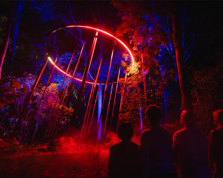 Friends watch the stars descend at Astra Lumina
