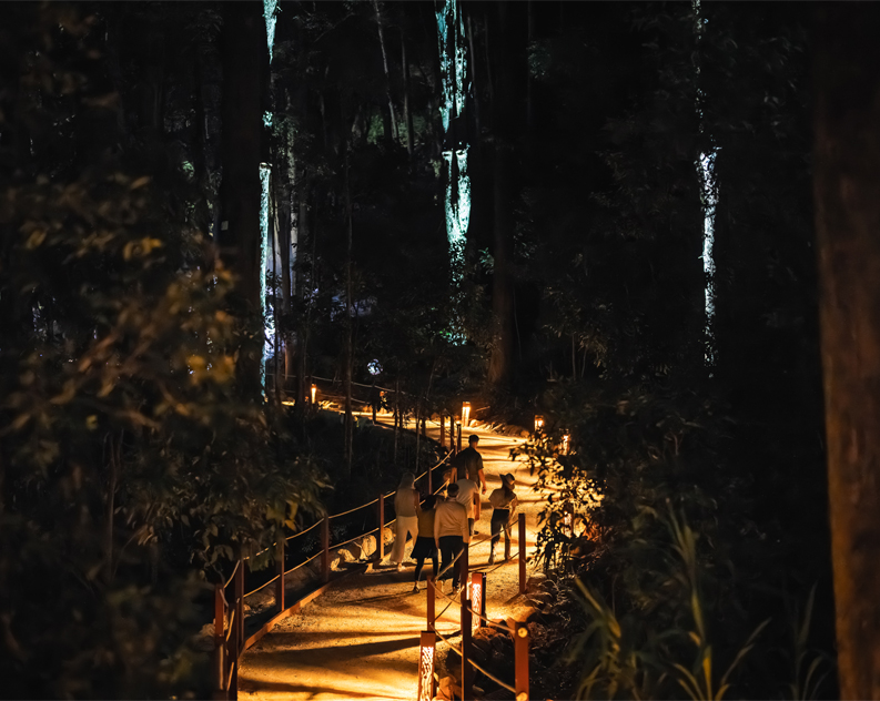 Family make their way through the forest at Astra Lumina