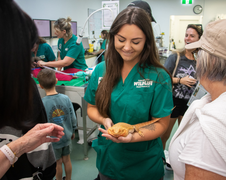 Hospital tour with vet nurse currumbin