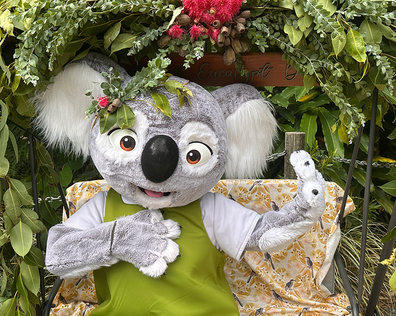 Person in koala costume wearing green vest and with a eucalyptus and flower crown on head sitting on bench in front of eucalyptus trees and red flowers.