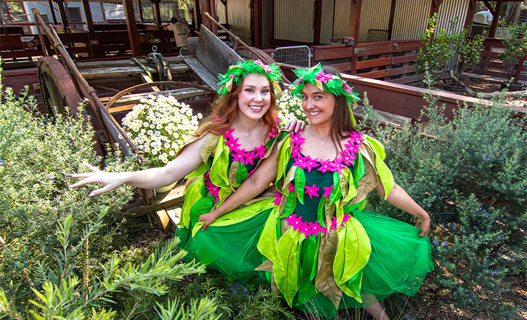 Two fairies hide in Outback Springs at Currumbin Wildlife Sanctuary's Spring Bloom activation