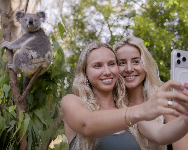 Koala Connections Koala Selfie
