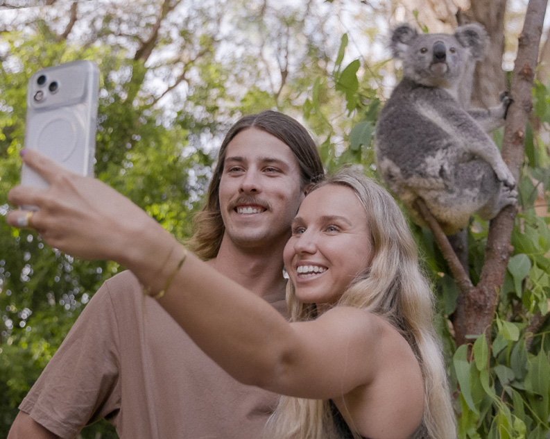 Koala Connections Koala photo