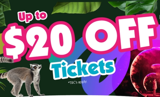 Colourful graphic with the words Up to $20 off tickets and illustrations.